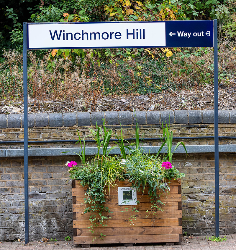 winchmore.jpg